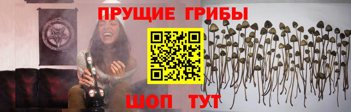 Галлюциногенные грибы Psilocybe  Галлюциногенные грибы Magic Shrooms  Вход с VPN  Люберцы 